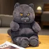 Nouveau 1 pc 58 cm câlin gros chat en peluche animaux en peluche jouet réaliste chat noir jouet pour garçons et filles enfants cadeau d'anniversaire de noël