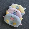 Cat Beds Pet Pillow Dog Supplies And Sleeping Oval Pig Small Dogs