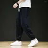 Erkek Pantolon Çin Tarzı Pamuk Keten Rahat Erkekler Etnik Harajuku Vintage Gevşek Joggers Pantolon Elastik Bel Harem