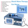 Gadgets de santé Thérapie Ed Hight Energy Low Intensity Shockwave Eswt Shock Wave Physiotherapy Equipment With Five Tips