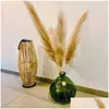 Dekorative Blumen Kränze 20 Teile/los Großhandel Phragmites Natürliche Getrocknete Dekoration Pampas Gras Für Zuhause Hochzeit Dekoration Brötchen Dhbam