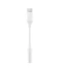 محول أذن AUX AUX TYPE C 3.1 إلى كابلات محول جاك لـ Samsung Galaxy Note 10 10 Plus A80 A90 A60 OTG ADAPTER