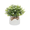 Flores decorativas em vasos de plantas com vasos decorações de natal