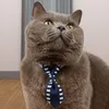 Hondenkragen waterdichte zachte katten bow-tie kitten kraag pet cosplay kostuumbenodigdheden