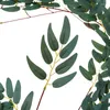 Fleurs décoratives INS suspendus guirlande d'eucalyptus plantes artificielles vigne feuille de saule rotin jardin maison fête accessoires de mariage décor de noël