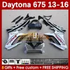 Kit de carénage OEM pour Daytona 675 675R 13 14 15 16 2013 2014 2015 2016 Carrosseries MOTO 166No.100 Daytona675 Body Daytona 675 R 2013-2016 Carénage de moto blanc stock