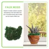 Decoratieve bloemen mos planten kunstmatige nep faux greenlichen natuurlijk huis binnen gedroogde simulatie ambacht decor grasgarden potten