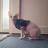 Kostiumy kota 1PC Zimowe ubrania psa psa Puppy Clothing Chihuahua polar dla psów Mały ciepły garnitur kamizelka Rok SPHYNX KITTITH PAJAMA