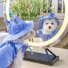 Chien Vêtements D'été Ins Tendance Po Décoration Pet Chapeau Teddy Bichon Ombre Petites Oreilles Plaid Mignon Fête