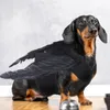 Katzenkostüme Halloween Engel Flügel Kostüm Haustier Cosplay Kleidung Kleidung Witzige Geschenkbekleidung Dekoration für Welpen Zettel Kleid Urlaub