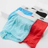 Caleçons sous-vêtements pour hommes Boxer slips voir à travers les rayures Boxershort Sexy érotique Lingerie mâle respirant Shorts troncs