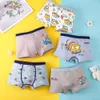 Calcinha infantil roupas íntimas para crianças shorts de cartoon algodão dinossauros de carro meninos Padrão 35pcs lote 230322