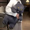Nouveau 1 pc 58 cm câlin gros chat en peluche animaux en peluche jouet réaliste chat noir jouet pour garçons et filles enfants cadeau d'anniversaire de noël