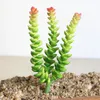 Decorative Flowers 18cm Money String Artificial Succulent Plants Green PVC Fake Home Garden Decoration Accessories Desktop Bonsai