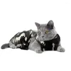 Trajes de gatos traje de recuperação de gatinho para spay camuflage projetar macacão de gatos roupas e gola alternativa