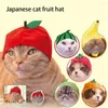 Abbigliamento per cani Cappello Copricapo per gatti Decorazione per animali domestici Cani di piccola e media taglia Simpatico oggetto di forma divertente Paraorecchie per frutta Costume