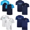 2023 F1 Racing Suit Camiseta Mangas Curtas Fórmula 1 Team Driver Camiseta Verão Masculino Casual O-pescoço Camisetas Fãs Camisa de Secagem Rápida