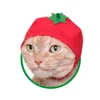 Abbigliamento per cani Cappello Copricapo per gatti Decorazione per animali domestici Cani di piccola e media taglia Simpatico oggetto di forma divertente Paraorecchie per frutta Costume