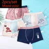 Panties HH 2pcsset Pure Cotton Boys Boxer Underpants Childrens Cozy Cartoon Underwear Middle Small Kids Panty Boy Shorts 230322