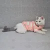 猫の衣装かわいいペットの服のファッション