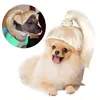 Chat Costumes mignon Pet perruques Cosplay accessoires perruque Blonde queue de cheval chapeaux Transfiguration chien drôle Costume Pog G6L3