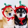 Hondenkleding ins Pet Strawberry Hat Handgemaakte schattige hoofdtooi kleine satchel shopping po props hoeden voor honden