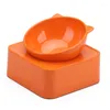 Cat Bowls Pet Little Dog Bowl Anti-Slip Tegle Reseping مع قاعدة منحدر للأدوات