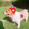 Hondenkleding ins Pet Strawberry Hat Handgemaakte schattige hoofdtooi kleine satchel shopping po props hoeden voor honden