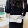 Geldbörsen Tasche Frauen Tasche 2023 Neue Einfache Mode Krokodil Muster Eine Schulter Umhängetasche Verwestlichte Kleine Quadratische Tasche