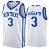 Basketball College 3 Maglie Bam Adebayo Kentucky Wildcats 15 Willie Cauley-Stein 12 Brandon Knight 4 Hamidou Diallo 21 Tayshaun Prince 3 Tyler Ulis Sewn On Men Kids