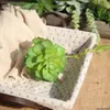 Fleurs décoratives 1 PCS Simulation Succulente Conjointe Avec Fleur Pauline Plantes Succulentes Artificielles Décoration De Jardin DIY Accessoires