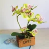Decorative Flowers One Set Artificial Butterfly Orchid Potted Succulents Plants Home Garden Living Room Decoration Fake