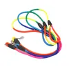 Laux Rainbow Pet Dog Dog Nylon Rope Training Lash Slip Lead Strap Réglable Traction Collier DH2258