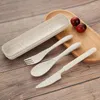 Set di stoviglie Set di paglia di grano Stoviglie portatili Coltello Forchetta Cucchiaio Posate da viaggio Accessori da cucina da campeggio riutilizzabili