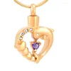 Pendant Necklaces IJD9625 Hold Crystal Dolphin In My Heart Stainless Steel Cremation Urn Memorial Ashes Jewelry For Pet