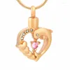 Pendant Necklaces IJD9625 Hold Crystal Dolphin In My Heart Stainless Steel Cremation Urn Memorial Ashes Jewelry For Pet