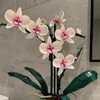 Blocs Moc Bouquet Orchidée bloc fleur Succulentes En Pot Bâtiment FIT pour 10311 Romantique Kit Assemblée Jouet fille cadeau 230322
