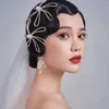 Headpieces HP367 Retro Bride Headwear Earring Set Crystal Wedding Woman Hair Comb Girl Accessories Bachelorette Party Ladies Jewelry