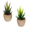 Decorative Flowers 2 Pcs Cute Simulated Succulent Plant Ornament Fake Landscape Decors Ornaments For Home Office Balcony Supplies