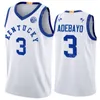 College Kentucky Wildcats Basketball Jersey 3 Bam Adebayo 15 Willie Cauley-Stein 12 Brandon Knight 4 Hamidou Diallo 21 Tayshaun Prince 3 Tyler Ulis Sydd NCAA