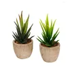 Decorative Flowers 2 Pcs Cute Simulated Succulent Plant Ornament Fake Landscape Decors Ornaments For Home Office Balcony Supplies