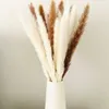 Decorative Flowers 30 Pcs White Pampas Grass 17Inch Natural Dried Branches Decor For Home Kitchen Garden Party Pographing