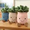 Flores decorativas, juguetes de peluche, muñeca en forma de planta en maceta, adorno interior de felpa, bonito regalo para niños, novia, esposa, azul, rosa, blanco