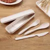 Set di stoviglie Set di paglia di grano Stoviglie portatili Coltello Forchetta Cucchiaio Posate da viaggio Accessori da cucina da campeggio riutilizzabili