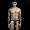 Underpants 2023 Cotton Underwear Calzoncillos Male Pyjama Boxer Calecon Homme For Man