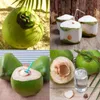 Komercyjny kokosowy otwieracz kokosowy do miazgi kokosowej młody kokosowy wiertarka do kokosowego mleka pijaka restauracja narzędzia kuchenne