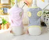 Cat Costumes Big Face Smile Sweatshirt Pet Dog Dessen Vest Puppy Pocket Letters Kleding voor Teddy Chihuahua Gray