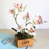 Decorative Flowers One Set Artificial Butterfly Orchid Potted Succulents Plants Home Garden Living Room Decoration Fake