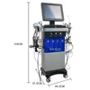 Alta frequenza 14 in 1 Hydraabrasion Aqua Water Aqua Peel Beauty Machine Microdermaabrasion Bio RF Ultrasonic Skin Scrubber