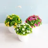 Decoratieve bloemen 14x15cm kunstmatige bloem bonsai mini groen gras ball pot pot balkon woonkamer bruiloft feest decor nep planten